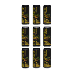 Ginger & Lemon Bundle (9x330ml Cans)