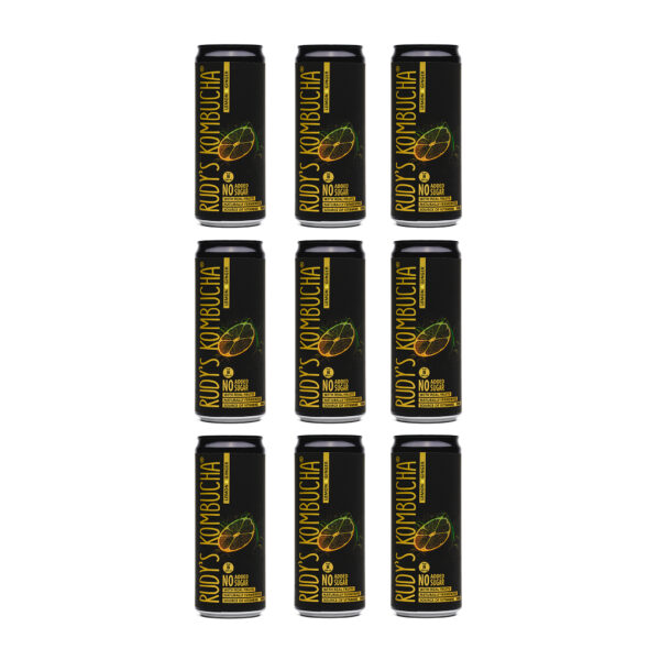 Ginger & Lemon Bundle (9x330ml Cans)