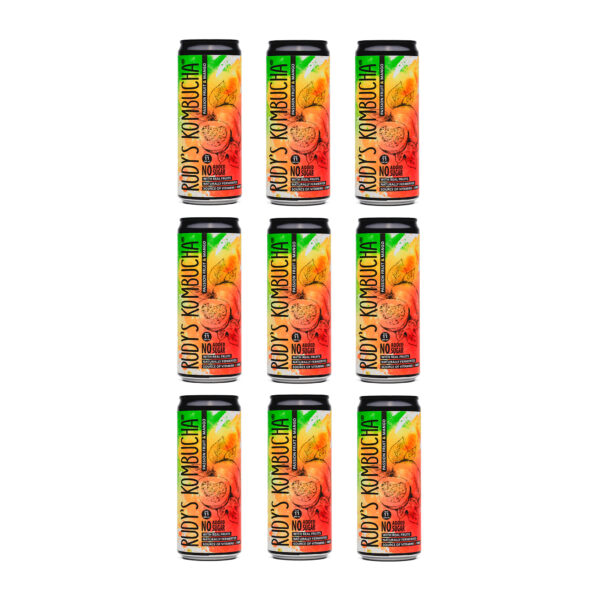 Rudy's Kombucha 4718 Hong Kong Premium Collection