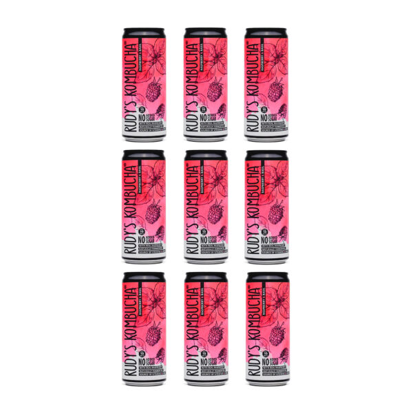 Raspberry & Basil Bundle (9x330ml Cans)