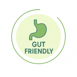 Gut-Friendly Kombucha Hong Kong - Living Cultures for Digestive Health